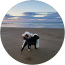 Nuala Faye Lovstad profile picture